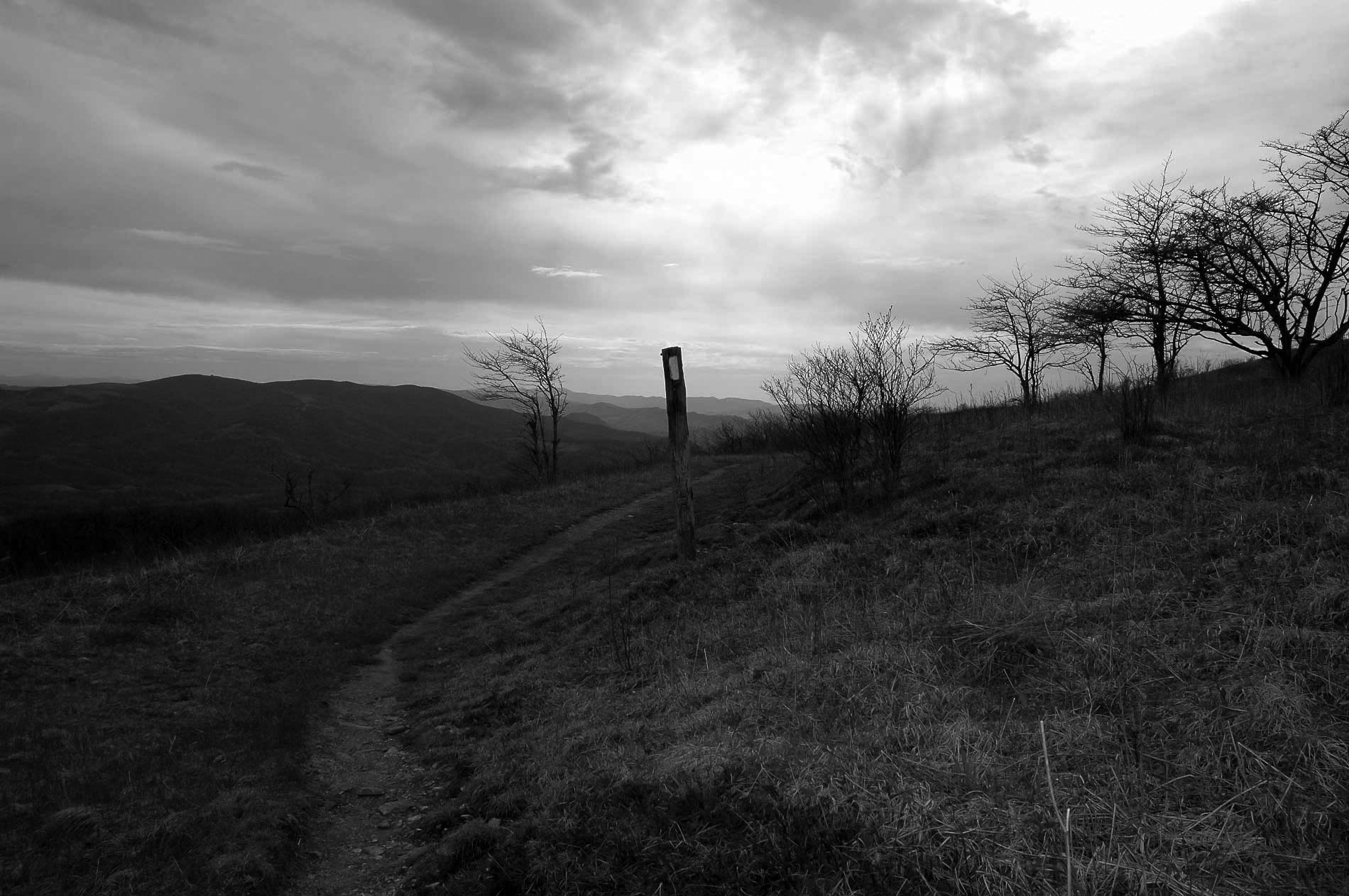 image from whitetop mountain virginia
