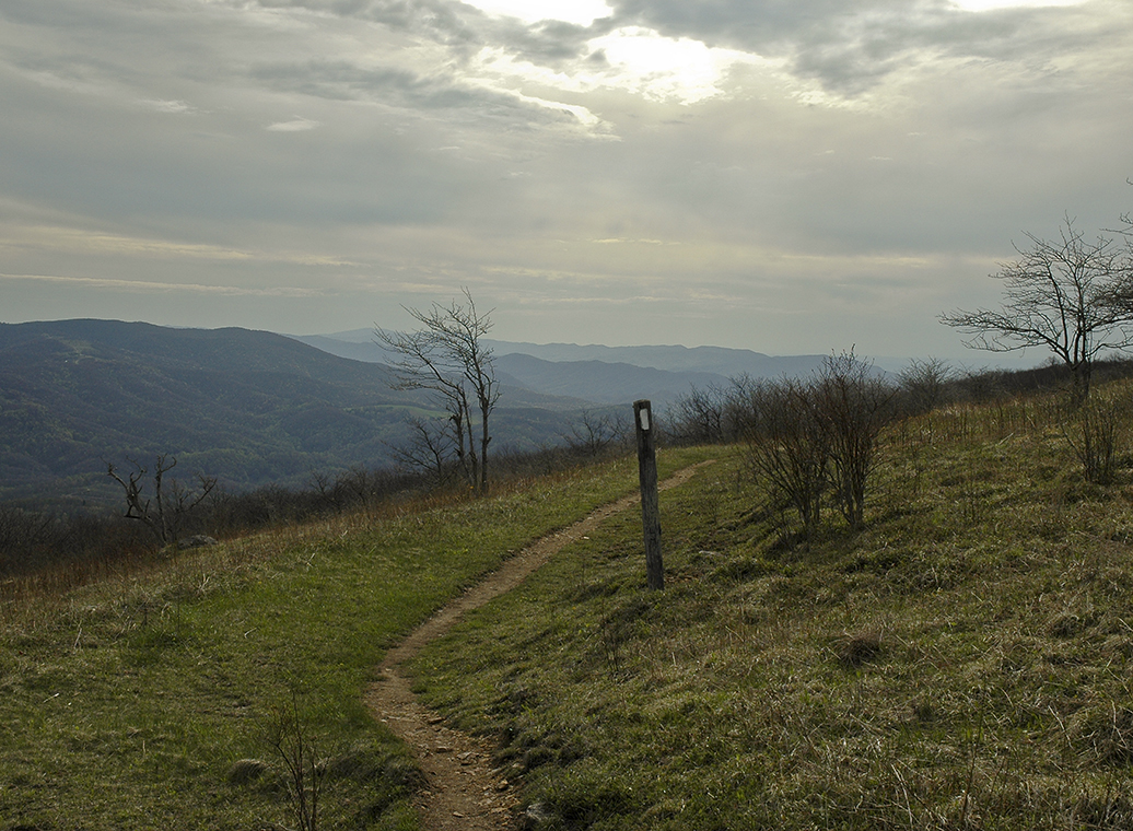 appalachian trail on whitetop va