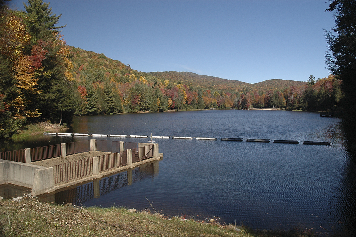 beartree lake