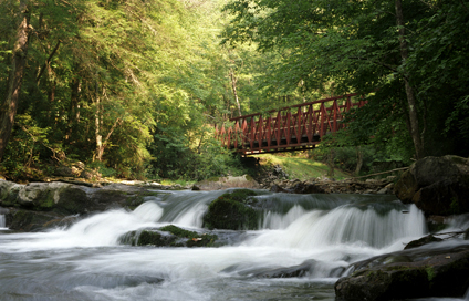 "Virginia Creeper Trail - Best Bike Trail in the U.S.A."